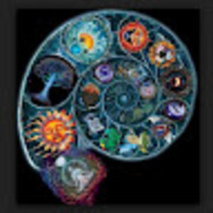 Meet your Posher, Kelley